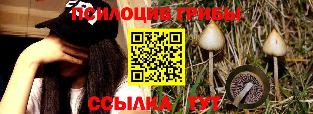 Краснодар  Псилоцибиновые грибы мухоморы  наркота  Вход с VPN 