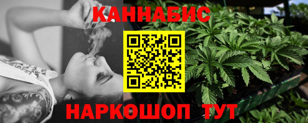Бошки марихуана сатива Краснодар